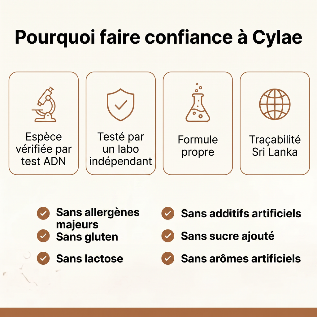 Cylae — Cannelle de Ceylan 7 200 mg avec huile MCT